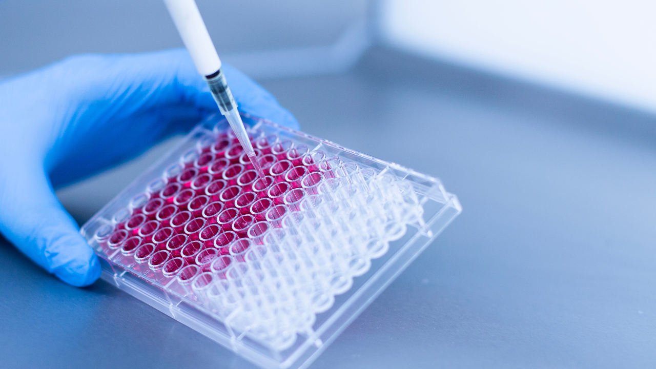 The Global Risks Report 2024 highlights the critical importance of preparing for future pandemics and investing in robust health infrastructures